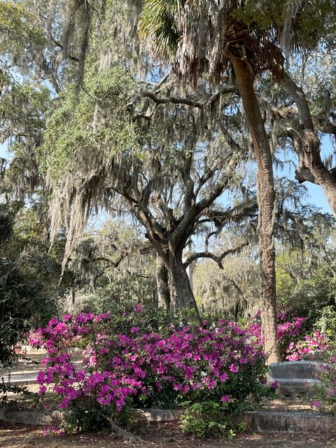 Savannah: Bonaventure Cemetery Golf Cart Guided Tour - The Sum Up