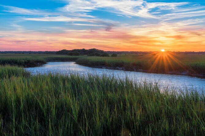 Savannah Coastal Dolphin Eco Tour - Analyzing the Value