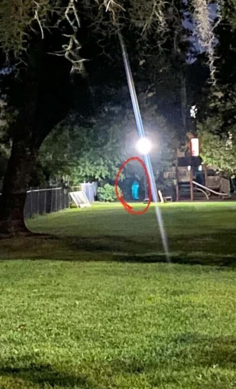 Savannah: Deathly Debutantes Guided Walking Tour - The Sum Up: Is the Deathly Debutantes Tour Right for You?