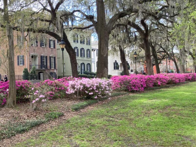 Savannah: Highlights & Hidden Gems Guided Walking Tour - Key Points