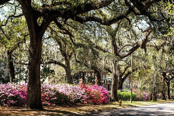 Savannah Historic Downtown Donuts and Sweet Treats Tour - Authentic Stories and Local Flavor