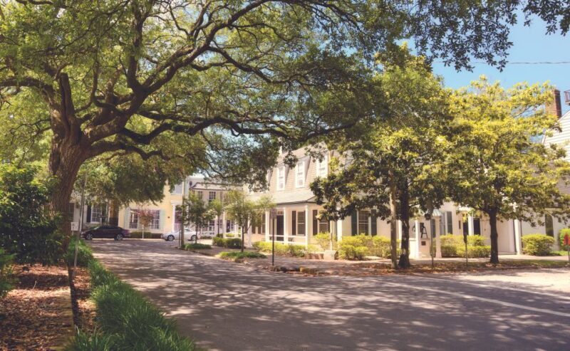 Savannah: Historic Highlights Walking Tour - Who Is This Tour Best For?
