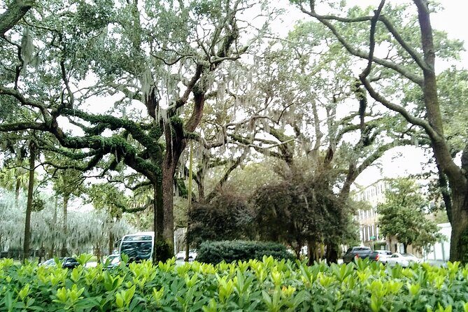Savannah Irish History Walking Tour - Insights from Past Reviewers