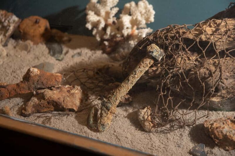 Savannah: Pirates and Treasure Museum Entry Ticket - Our Final Thoughts: Who Will Love This?