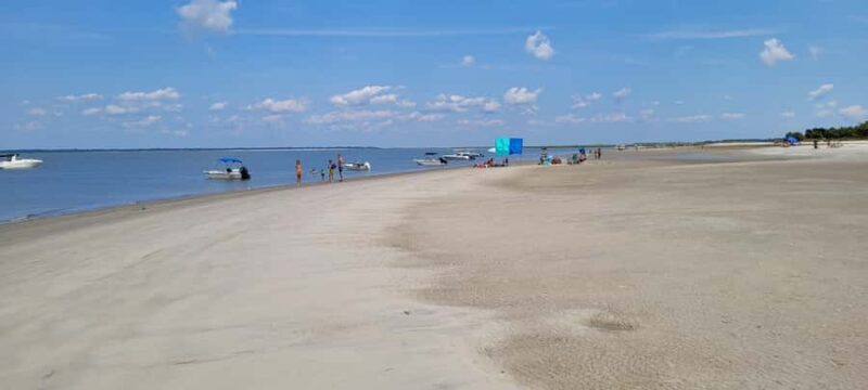 Savannah River Marsh: Your unforgettable Cruise Adventure! - Practical Details & What to Expect