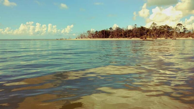 Savannah River Marsh: Your unforgettable Cruise Adventure! - Who Will Love This Tour?