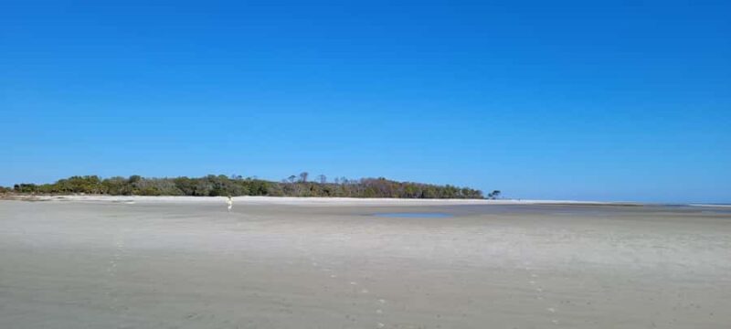 Savannah River Marsh: Your unforgettable Cruise Adventure! - The Sum Up