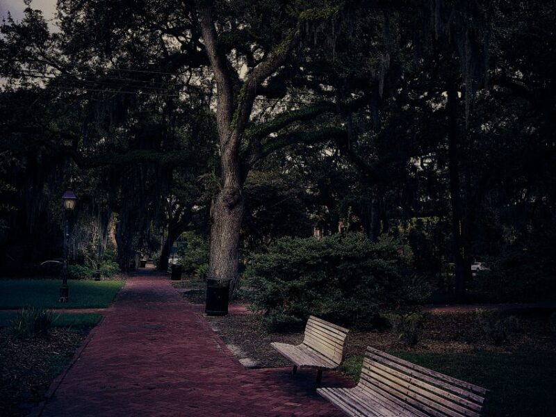 Savannah: Sixth Sense Savannah Ghost Tour - Who Is This Tour Best For?