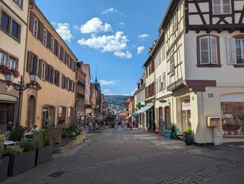 Saverne : Highlights Walking Tour - Practicalities and Group Experience