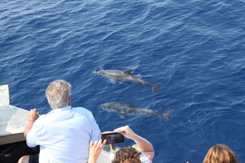 Savona: Exclusive nature cruise to the Pelagos Sanctuary - FAQs