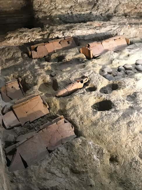 Savona: Guided visit to the Civic Archaeological Museum and the City of Savona - Key Points