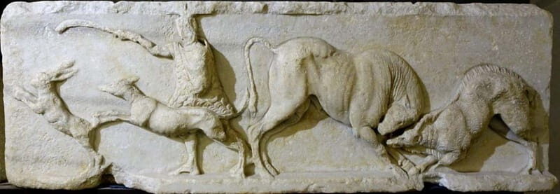 Savona: Guided visit to the Civic Archaeological Museum and the City of Savona - What to Expect from the Tour