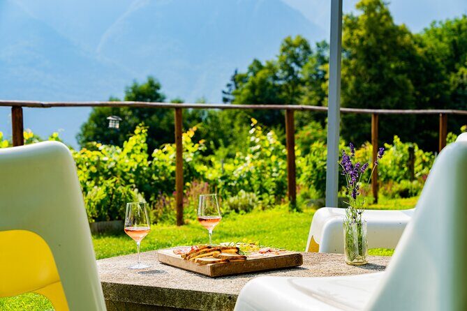 Savor Ossola Wines & Local Treats in a Scenic Vineyard - Final Thoughts
