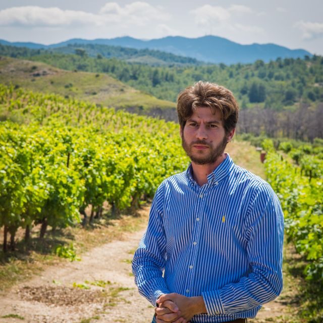 Savor Rhodes: 11-Dish Wine Pairing and Cooking Adventure - The Sum Up: Is This Tour Worth It?