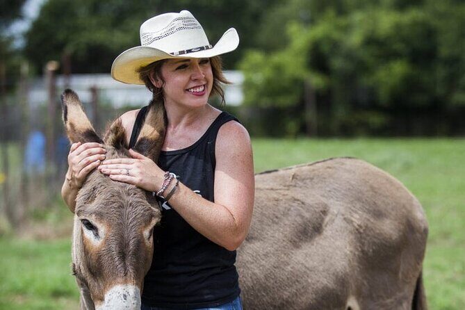 Savor the SYV Farm Experience Cattle Ranch to Olive Grove Picnic - Key Points