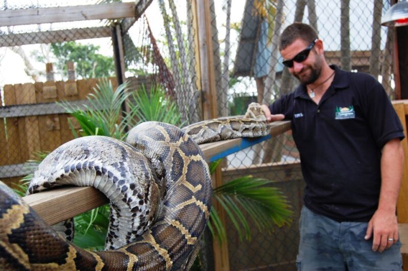 Sawgrass Park: Private 1-Hour Airboat Adventure Tour - The Reptile Exhibit and Educational Value
