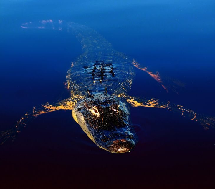 Sawgrass Park: Private 1-Hour Airboat Adventure Tour - Accessibility and Practical Considerations