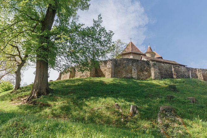 Saxon Secrets: The Malancrav & Biertan Experience - Who Should Consider This Tour?