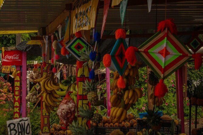 Sayulita and San Pancho Day Trip from Puerto Vallarta - What Travelers Can Expect