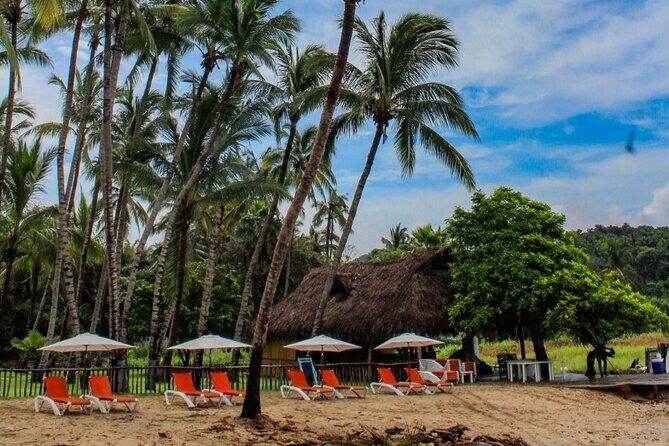 Sayulita and San Pancho Day Trip from Puerto Vallarta - Who Is This Tour Best For?