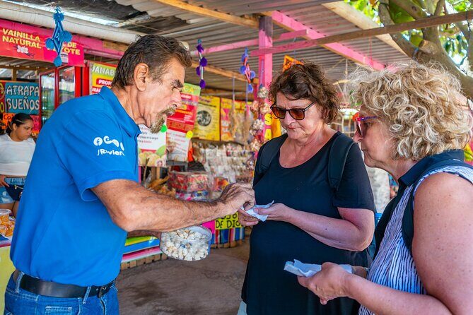 Sayulita and San Pancho Tour - The Bottom Line: Who Is This Tour For?