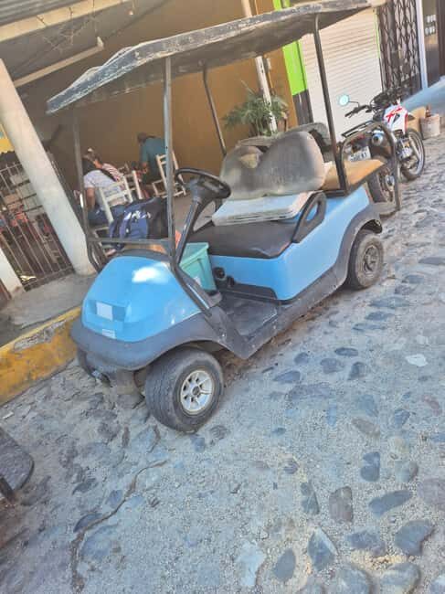 Sayulita: Electric Cart Rental - Authentic Experiences and Practical Benefits