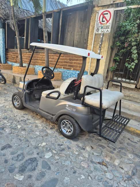 Sayulita: Electric Cart Rental - Who Will Benefit Most?