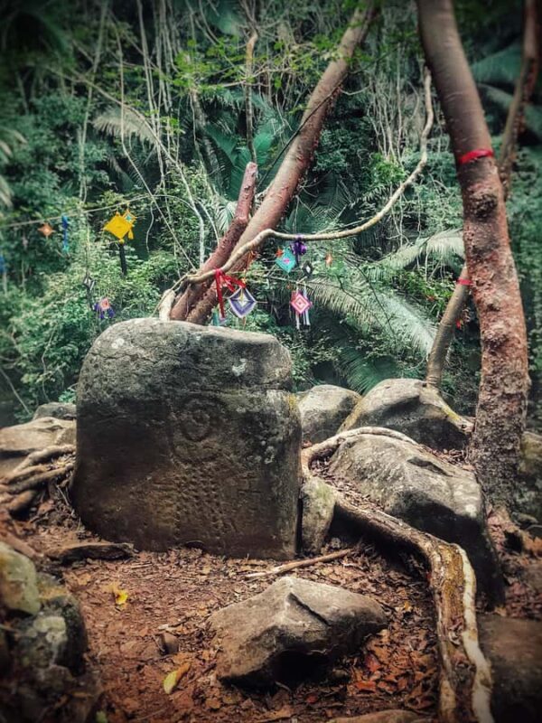 Sayulita: Petroglyphs Sacred Sanctuary Guided Experience - The Natural Beauty