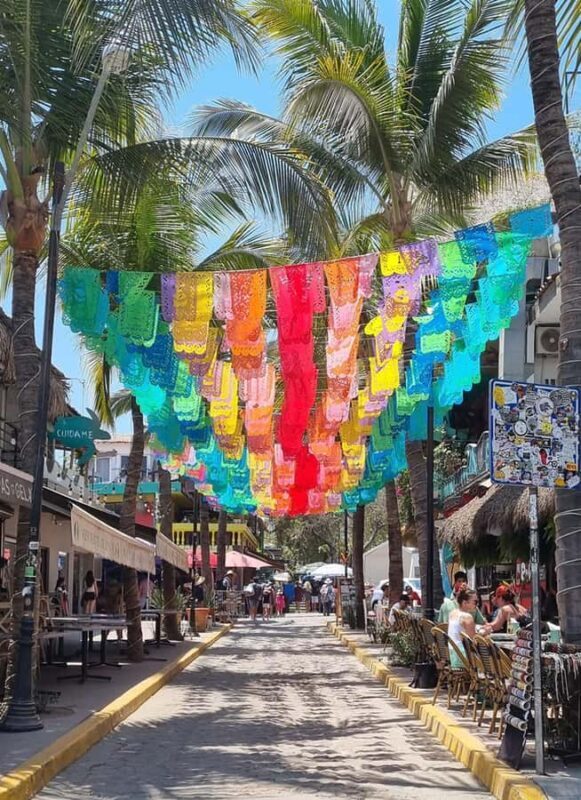 Sayulita & San Pancho: Private Trip from Puerto Vallarta - Who Will Love This Tour?