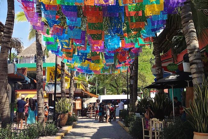 Sayulita Surfer Beach Town and Zarandeado with Seafood Grill - Who Will Enjoy This Tour?