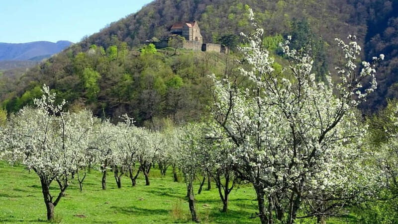 SB13 - Sibiu: Private Day Trip to Transylvanian Villages - An In-Depth Look at the Itinerary