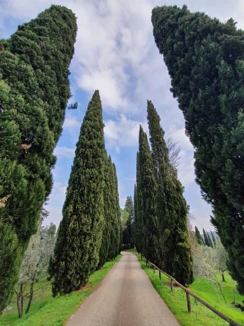 Scandicci: Bellavista Wine Tasting Experience - Exploring the Itinerary: What You Can Expect