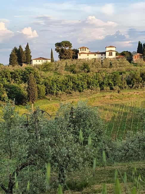 Scandicci: Bellavista Wine Tasting Experience - The Value of the Experience