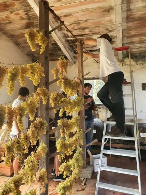 Scandicci: Bellavista Wine Tasting Experience - The Sum Up