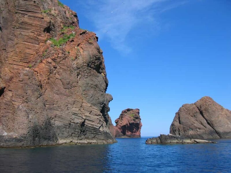 Scandola: check out the nature reserve from Porto (France) - What You Can Expect from the Tour