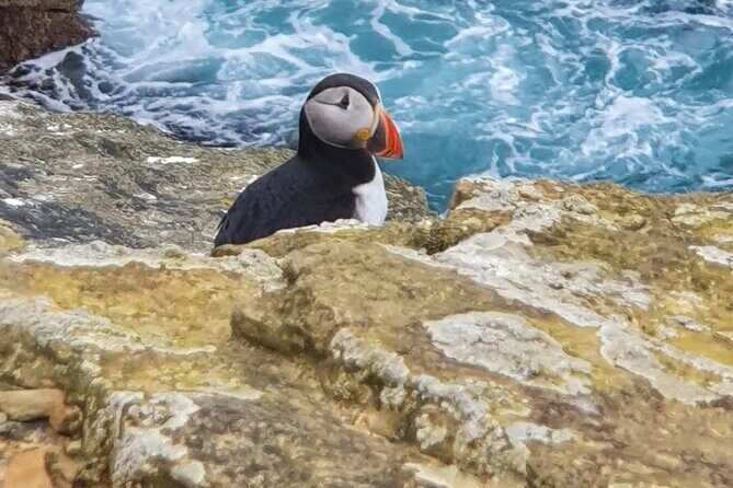Scapa Tours - Who’s This Tour Best Suited For?