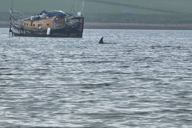 Scapa Tours - Final Thoughts