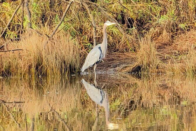 Scappoose Bay Kayak Adventure Private tour - A Detailed Look at the Itinerary