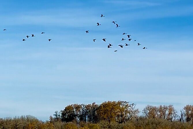 Scappoose Bay Kayak Adventure Private tour - FAQs