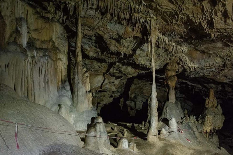 Scarisoara-World greatest Ice cave: one day tour from Oradea - Cost and Value