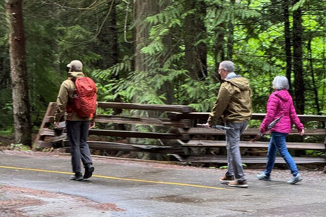 Scavenger Hunt Adventure with Geocaching in Whistler - Who Should Consider This Tour?