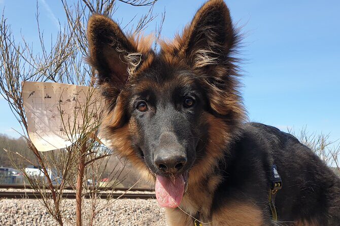 Scavenger Hunt in Gdask, Poland - Why You’ll Love This Gdansk Scavenger Hunt