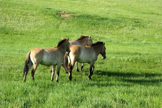 Scenes of National Parks - Key Points
