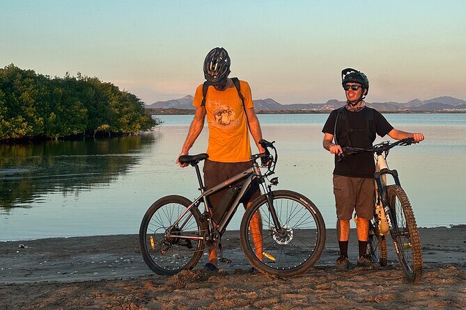 Scenic Bay Bike Ride Through Desert and Mangrove - Introduction: Why This Bike Tour Deserves Your Attention