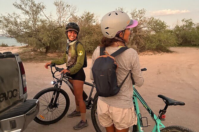 Scenic Bay Bike Ride Through Desert and Mangrove - Authentic Experiences from Fellow Travelers