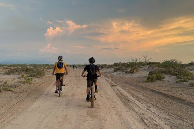 Scenic Bay Bike Ride Through Desert and Mangrove - The Sum Up: Who Will Love This Tour?