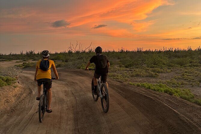 Scenic Bay Bike Ride Through Desert and Mangrove - FAQ