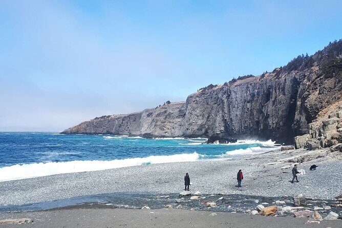 Scenic Bus Tour of the Northeast Avalon from St. John's - An In-Depth Look at the Itinerary