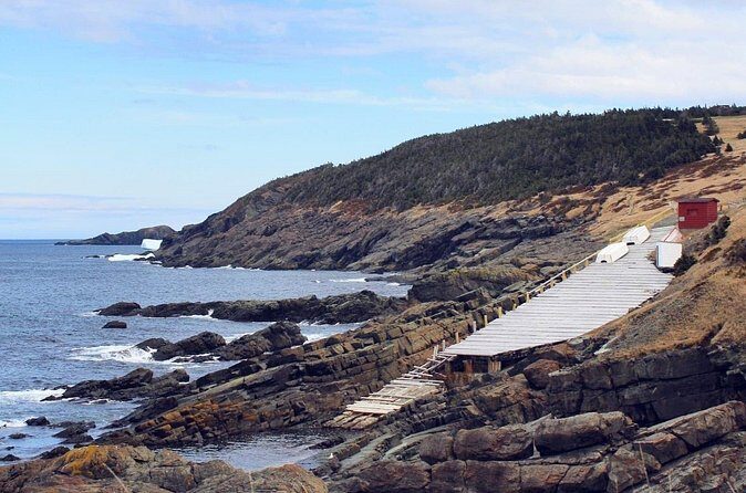 Scenic Bus Tour of the Northeast Avalon from St. John's - The Sum Up: Is This Tour Worth It?
