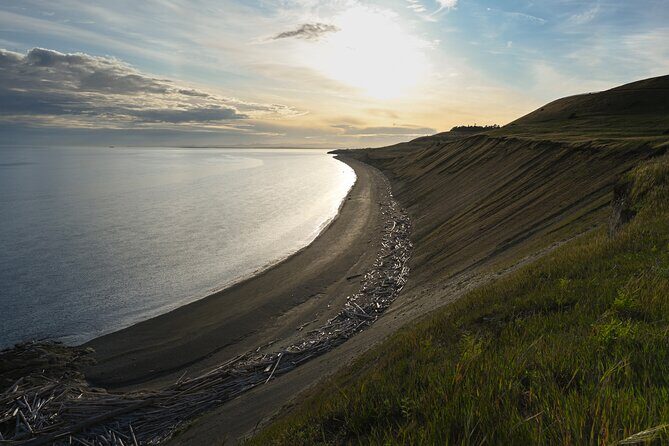 Scenic Coast and Wildlife Tour - Additional Details: Practicalities and Considerations